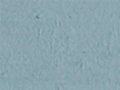 Pigment 236 Dove